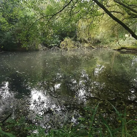 Clos Des Monts Saint-Martin-des-Besaces
