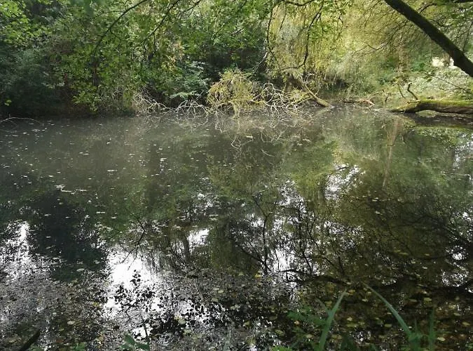 Clos Des Monts Saint-Martin-des-Besaces